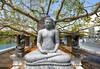 Buddha purnima 2023:  આ બુદ્ધ પૂર્ણિમા પર 130 વર્ષ બાદ બની રહ્યો છે મહાસંયોગ, આ રાશિના જાતકોની ખુલી જશે કિસ્મત