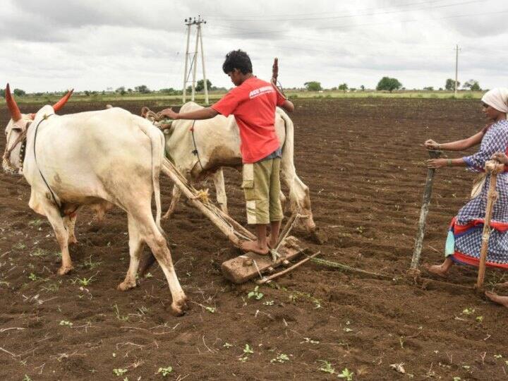 किसान अपनी इस 14 वीं किस्त का स्टेटस pmkisan.gov.in पर जाकर चेक कर सकते हैं. इस लिंक पर जाने के बाद बेनिफिशियरी स्टेटस के ऑप्शन पर जाकर अगली किस्त के अपडेट को जाना जा सकता है.