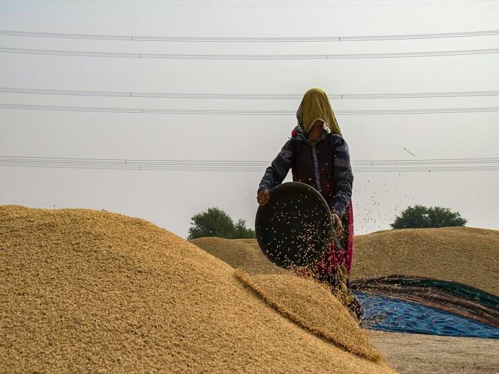 देश में हुई 2 करोड़ मीट्रिक टन से अधिक गेहूं खरीद, मगर पिछड़े ये राज्य