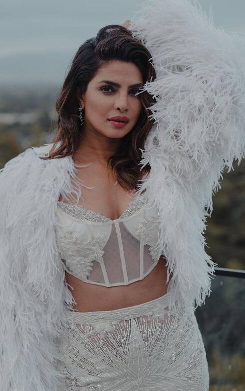 प्रियांकाची 'सिटाडेल' ही सीरिज प्रेक्षकांच्या भेटीला येणार आहे.