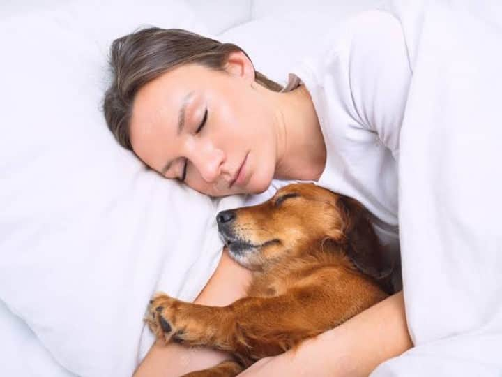 Why you should not sleep with your dog on the same bed क्या आप भी अपने साथ बगल में सुलाते हैं अपने पेट डॉग को, तो उससे पहले जान लें ये 7 गंभीर नुकसान