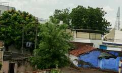 Gujarat Weather: ધરતીપુત્રોને હજુ માવઠાથી નહીં મળે રાહત, 5 દિવસ કમોસમી વરસાદની આગાહી