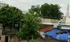 Gujarat Weather: ધરતીપુત્રોને હજુ માવઠાથી નહીં મળે રાહત, 5 દિવસ કમોસમી વરસાદની આગાહી