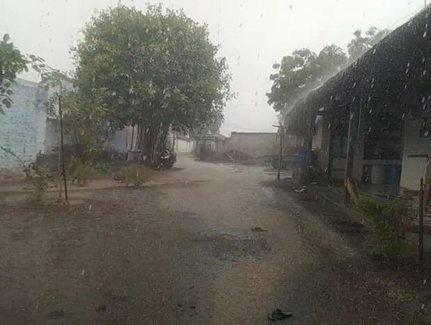 Chance of unseasonal rain in the state for another 24 hours, Meteorological Department forecast of rain in the area Gujarat Weather: રાજ્યમાં હજુ 24 કલાક માઠવાનું સંકટ, આ વિસ્તારમાં વરસાદની હવામાન વિભાગની આગાહી