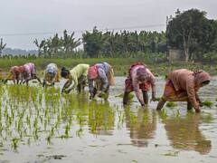 PM Kisan Yojana: एक परिवार में कितने लोगों को मिल सकता है पीएम किसान योजना का लाभ, यहां जानिए