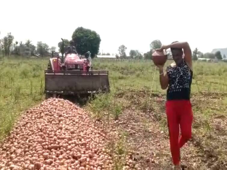 Agriculture News Onion prices have fallen in Nashik farmers satana Agriculture News : कांद्याच्या दरात घसरण, नाशिकच्या शेतकऱ्यानं केला कांद्याचा अंत्यविधी