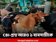 গরু পাচার মামলায় এবার CBI স্ক্যানারে অনুব্রত ঘনিষ্ঠ ব্যবসায়ী
