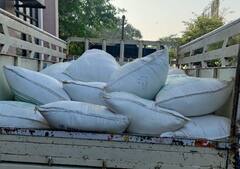 Gujarat: સરકારી અનાજ વિતરણ કૌભાંડ રોકવા  SITની ટીમ એક્શનમાં, જાણો શું આદેશ કરાયો ?