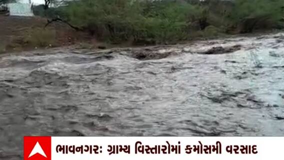 Bhavnagar : ભાવનગરના મહુવાના મોરંગી ગામની રામતલિયા નદીમાં પાણીની ભારે આવક