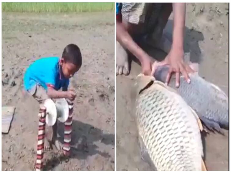 This little boy fish catching technique has impressed the internet viral video Watch Video: 'எதையும் ப்ளான் பண்ணி பண்ணனும்..' - இந்த பையனை பாத்து மீன் பிடிக்க கத்துக்கோங்க..!