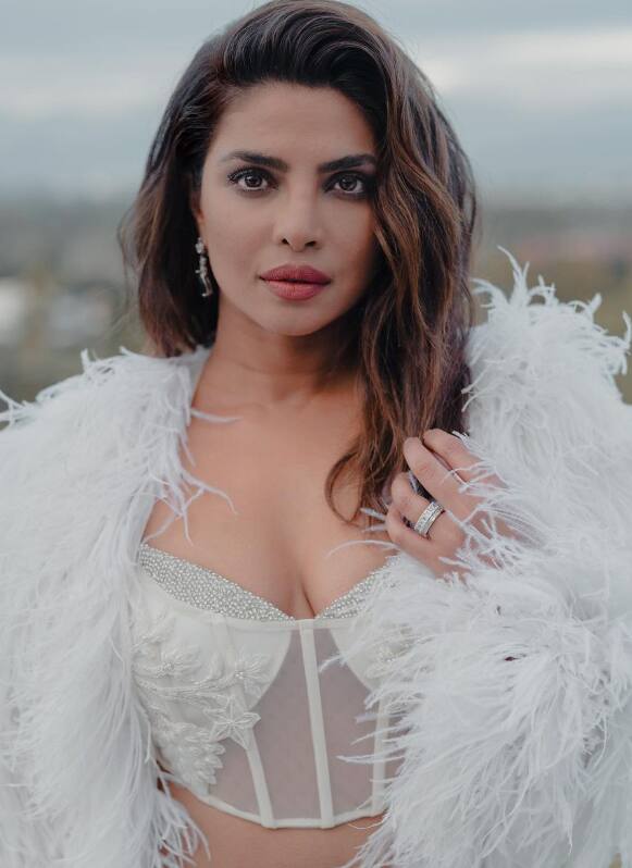 'सिटाडेल'मध्ये प्रियांका हॉलिवूड अभिनेता रिचर्ड मॅडनसोबत स्क्रीन शेअर करताना दिसली आहे.