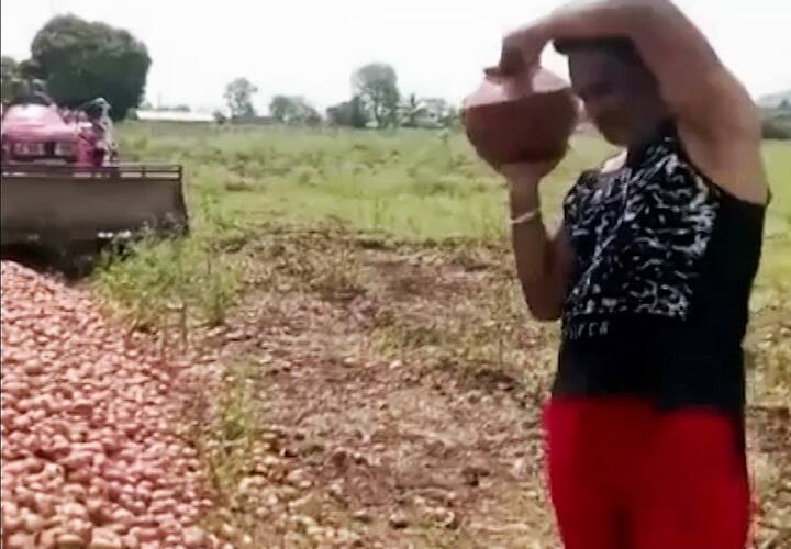 शेतात राब राब राबून कांदा पिकवायचा अन् निसर्गाने तो हिरावून न्यायचा, यामुळे शेतकरी अडचणीत आला आहे.