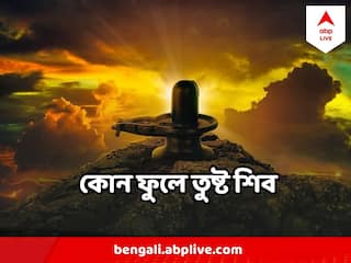 Shiv Puja : সোমবার কোন ফুলে তুষ্ট হবেন শিব ঠাকুর? জেনে নিন কীভাবে তুষ্ট হবেন মহাদেব