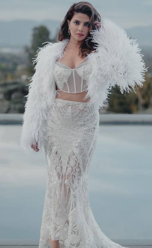 बॉलिवूड ते हॉलिवूडपर्यंतचा प्रवास करणारी अभिनेत्री प्रियांका चोप्रा सध्या चर्चेत आहे.