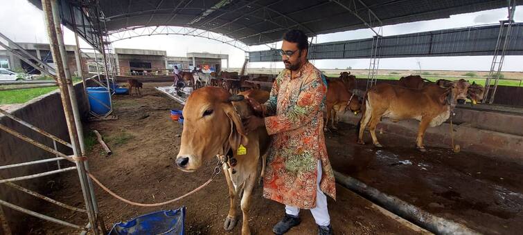 Farmer's Success Story:  A young man from Dholka left fashion designing and started animal husbandry, the turnover of Gir cow's milk is more than 7 lakhs Farmer’s Success Story: ફેશન ડિઝાઇનિંગનું કામ છોડી ધોળકાના યુવકે શરૂ કર્યું પશુપાલન, ગીર ગાયના દૂધના વેચાણનું 7 લાખથી વધુનું છે ટર્ન ઓવર