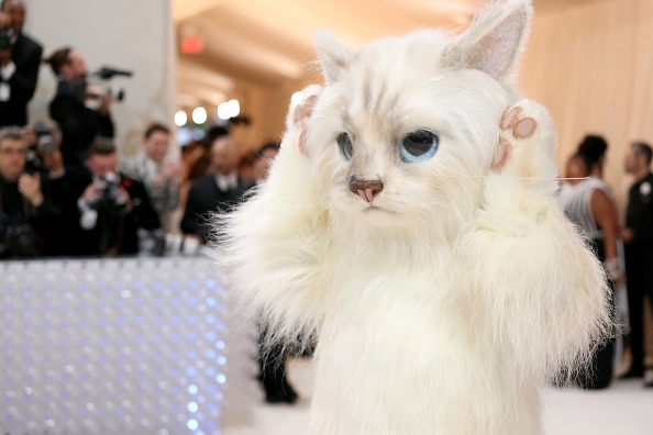 Doja Cat And Jared Leto Are The Cats At Met Gala 2023