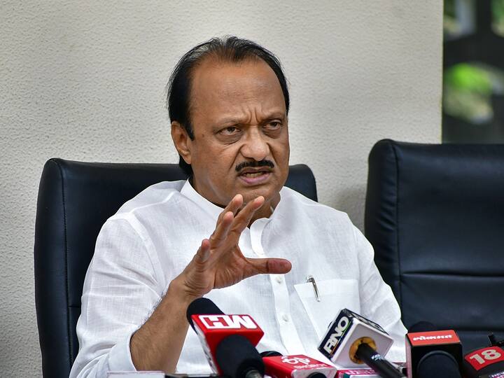 NCP Chief Sharad Pawar Will Rethink On Resignation Says Ajit Pawar Sharad Pawar Will Rethink On Resignation, Decision In 2-3 Days, Says Ajit Pawar