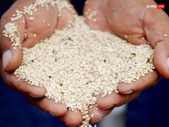 Jyeshta Month 2023 Upay: ज्येष्ठ माह में जरुर करें 5 खास उपाय, होगा धन लाभ, मंगल दोष होगा दूर