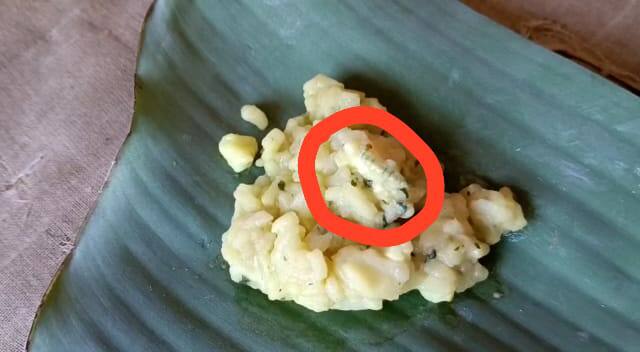 Uproar In Dakshin 24 Parganas Namkhana Block As Insect Allegedly Found In ICDS Meal Dakshin 24 Parganas:ফের আইসিডিএস সেন্টারের খিচুড়িতে পোকা মেলার অভিযোগ, চাঞ্চল্য দক্ষিণ ২৪ পরগনায়