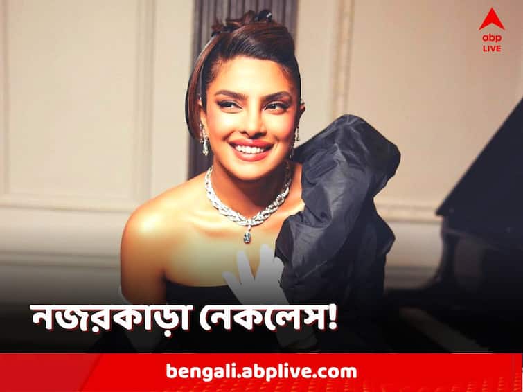 Bollywood Star Priyanka Chopra's Met Gala Diamond Necklace Is Worth Rs 204 Crores Priyanka Chopra: 'মেট গালা ২০২৩'-এর রেড কার্পেটে ১১.৬ ক্যারাট হিরের নেকলেস, প্রিয়ঙ্কার গয়নার দাম জানেন?