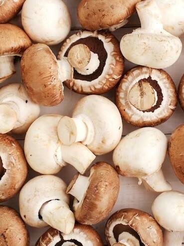 जम्मू कश्मीर में उगेगा जापान का ये मशरूम