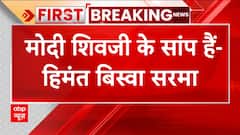 Karnataka Elections 2023: What Assam's 'CM Himanta Biswa Sarma' has to say?; take a look | ABP News