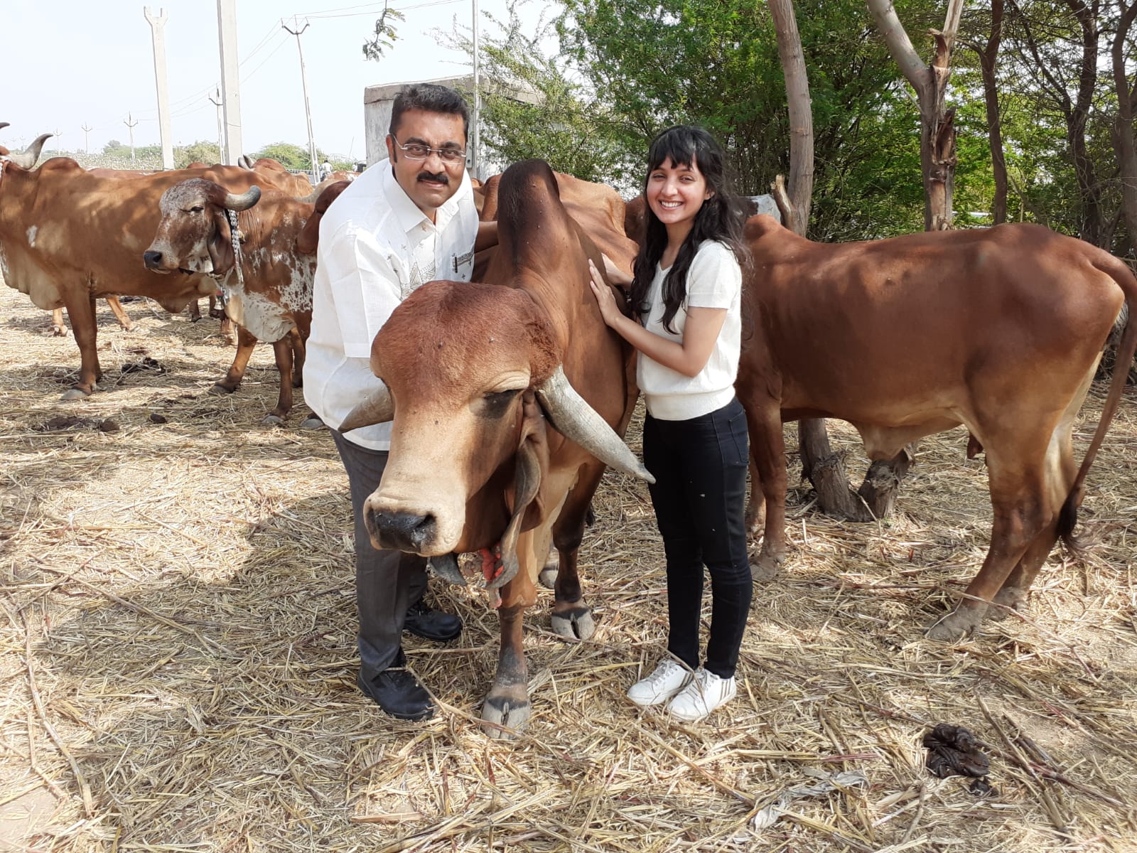 Farmer’s Success Story: ફેશન ડિઝાઇનિંગનું કામ છોડી ધોળકાના યુવકે શરૂ કર્યું પશુપાલન, ગીર ગાયના દૂધના વેચાણનું 7 લાખથી વધુનું છે ટર્ન ઓવર