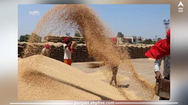 Ludhiana News: The people of Ludhiana broke the record of wheat, bumper crop reached the mandis Ludhiana News: ਲੁਧਿਆਣੇ ਵਾਲਿਆਂ ਨੇ ਤੋੜਿਆ ਕਣਕ ਦਾ ਰਿਕਾਰਡ, ਮੰਡੀਆਂ 'ਚ ਪਹੁੰਚੀ ਬੰਪਰ ਫਸਲ