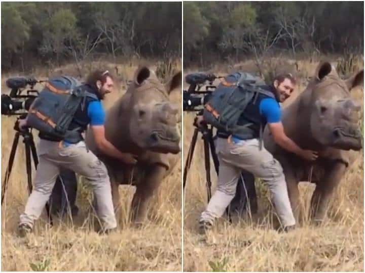 Wildlife photographer seen giving massage to angry rhino video goes viral गुस्सैल गैंडे को मसाज देकर शांत करते दिखा फोटोग्राफर, वायरल हो रहा है इस वक्त का वीडियो