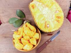 Raw Jackfruit : பலாப்பழம் தெரியும்.. அது என்ன பலாக்காய்? இதில் இருக்கும் சத்துக்கள் என்ன?