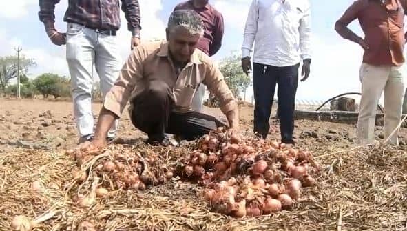Farmers huge losses due to unseasonal rains in Gondal taluka  Rajkot: કમોસમી વરસાદને કારણે ગોંડલ તાલુકાના ખેડૂતોને મોટુ નુકસાન