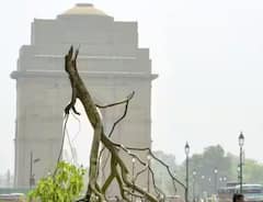 Weather Update Today: ਹੀਟਸਟ੍ਰੋਕ ਤੋਂ ਮਿਲੀ ਰਾਹਤ! ਪੂਰੇ ਭਾਰਤ 'ਚ ਨਹੀਂ ਤੰਗ ਕਰੇਗੀ ਇਸ ਦਿਨ ਤੱਕ ਗਰਮੀ, ਵੇਖੋ ਤਸਵੀਰਾਂ