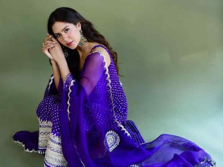 Actress Sonam Bajwa big statement about stealing from Sara Ali Khan and Ananya Pandey पंजाबी एक्ट्रेस Sonam Bajwa बोलीं- 'सारा-अनन्या करण जौहर के घर जा सकती हैं, ऑडिशन दे सकती हैं, मुझे अगर मौका मिले तो...'