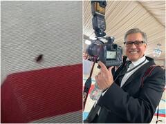 मेट गाला के रेड कार्पेट पर सेलेब्स के साथ 'कॉकरोच' ने भी दिए पोज, इंटरनेट पर छाया वीडियो