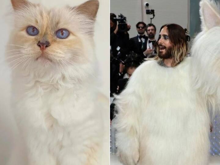 Met Gala 2023 why are celebrities dressed as a cat Jared Leto Lil Nas X and Doja Cat looks in event Met Gala 2023: क्यों मेट गाला 2023 में बिल्ली बनकर पहुंचे सेलेब्स? सोशल मीडिया पर लुक हो रहा है वायरल