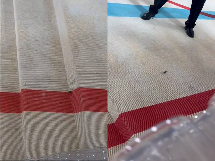 Met Gala 2023: Internet Declares Cockroach Spotted On The Red Carpet As 'Best Dressed' Met Gala 2023 Internet Declares Cockroach Spotted On The Red Carpet As Best Dressed Watch Viral Video Met Gala 2023: Internet Declares Cockroach Spotted On The Red Carpet As 'Best Dressed'