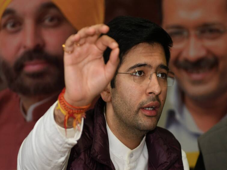 AAP Rajya Sabha MP Raghav Chadha Named In ED's Delhi Liquor Policy Case Supplementary Chargesheet AAP MP Raghav Chadha Mentioned In ED Supplementary Chargesheet In Delhi Liquor Policy Case