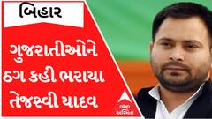 બિહારના CM તેજસ્વી યાદવે ગુજરાતીઓને કહ્યાં ઠગ, અરજદારે કરી અરજી; જાણો હવે કોર્ટ શું કરશે?