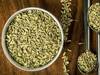 Fennel Seeds: ওজন কমাতে কীভাবে সাহায্য করে মৌরী? রোজের মেনুতে উপকরণ রাখলে আর কী কী উপকার পাবেন?