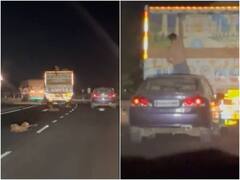 फिल्मी स्टाइल में चलते ट्रक से चुराई बकरियां, वीडियो देख कर सन्न रह जाएंगे आप