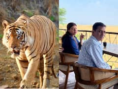 Sambhavna Seth Photos: सास-ससुर के साथ ब्रेकफास्ट, टाइगर का दीदार, फैमिली संग जंगल सफारी के मजे ले रही हैं संभावना सेठ