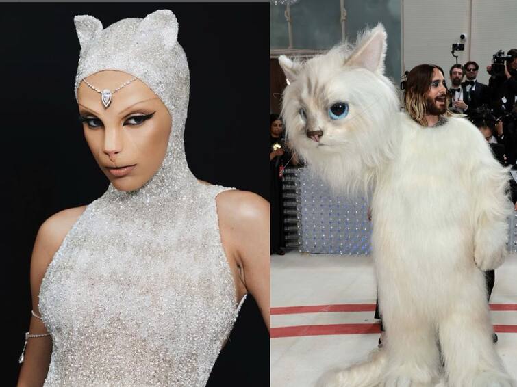met gala 2023 why are celebrities dressed as a cat know about it Met Gala 2023: मेट गाला 2023 मध्ये मांजरीचा लूक करुन का गेले होते सेलिब्रिटी? 'हे' आहे कारण