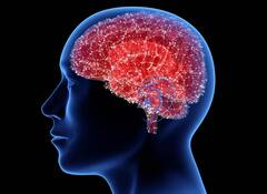 મૃત્યુ પછી થઈ મગજમાં હિલચાલ, વૈજ્ઞાનિકો આશ્ચર્યચકિત, મૃત્યુ પછી શું થાય છે તેના પર સંશોધન શરૂ