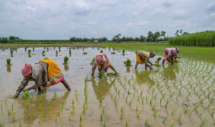 নবান্ন সূত্রে খবর, ওই বৈঠকে ঘূর্ণিঝড়ের সতর্কতায় প্রচার শুরুর নির্দেশ দেওয়া হয়েছে। উপকূলবর্তী এলাকাগুলিতে সাইক্লোন সেন্টারগুলির কী পরিস্থিতি তা খতিয়ে দেখতে বলা হয়েছে।