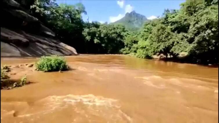 Tourists are prohibited from traveling in Puliyancholai - Forest Department Notification TNN புளியஞ்சோலையில் சுற்றுலா பயணிகள் செல்ல தடை - வனத்துறை அதிகாரிகள் அறிவிப்பு