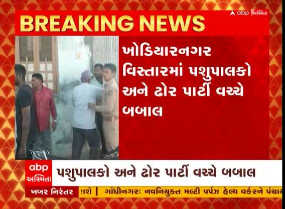 Vadodara : વડોદરામાં પશુપાલકો અને ઢોરપાર્ટી વચ્ચે થઈ બબાલ, જુઓ વીડિયો