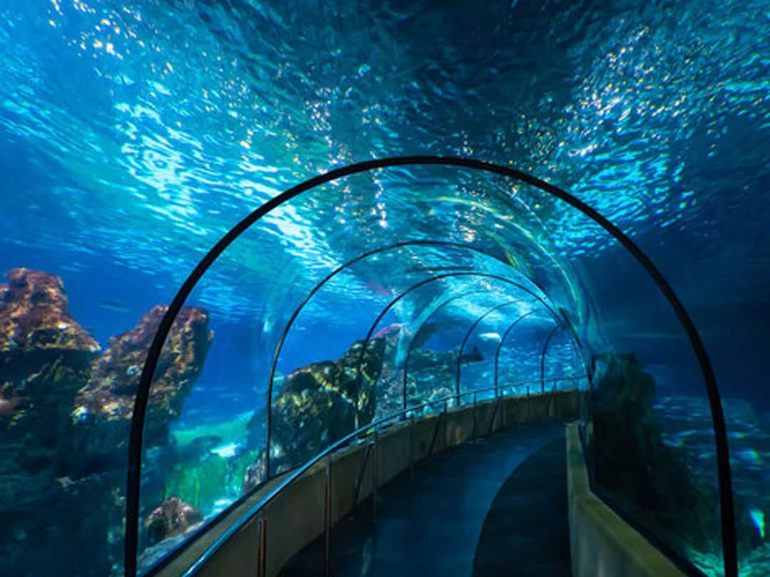 india's first underwater tunnel in Mumbai know How will be the journey Underwater Tunnel: अंडरवॉटर मेट्रोनंतर देशाच्या अर्थिक राजधानीत तयार होणार पहिला अंडरवॉटर टनल