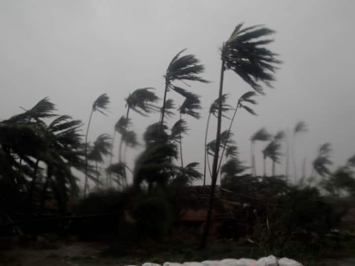 Gujarat Weather: cyclone will be created in gujarat coastal area due to arbi sea system Weather: ગુજરાતમાં આગામી 12 કલાકમાં ત્રાટકશે વાવાઝોડું ? હવામાન વિભાગની મોટી આગાહી
