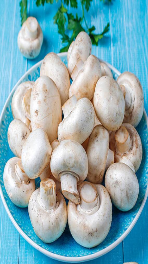 ਜਾਣੋ ਕਿਵੇਂ ਹੁੰਦੀ ਮਸ਼ਰੂਮ ਦੀ ਖੇਤੀ?