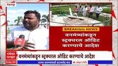 Pandharpur Tulsi Vrundavan : वन विभागाच्या निकृष्ट कामाचे वाभाडे, विठ्ठल मुर्तींचं अस्तित्व धोक्यात